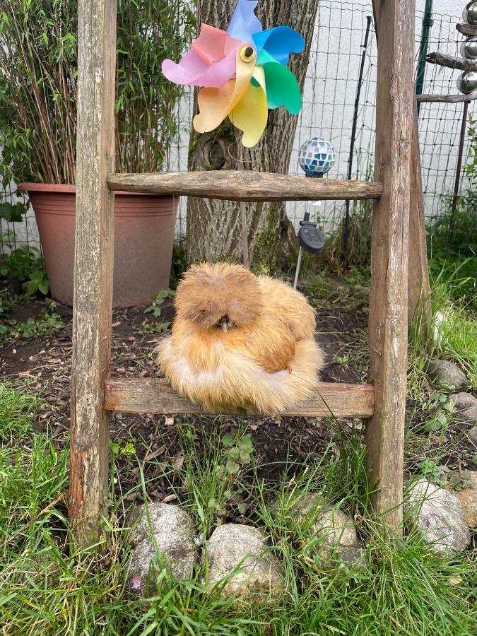 Ferienwohnung Seidenhuhn Kiefersfelden Luaran gambar