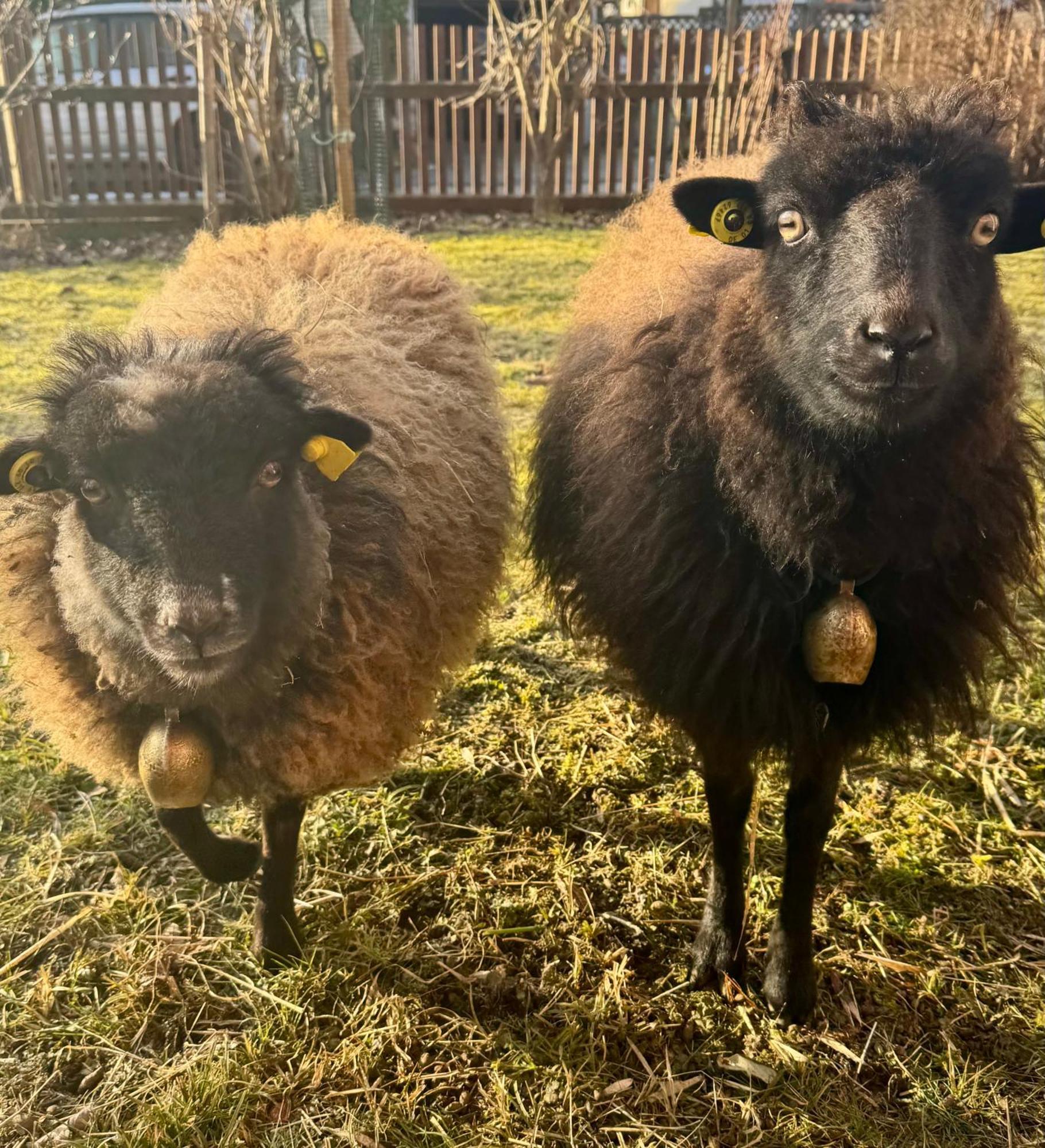 Ferienwohnung Seidenhuhn Kiefersfelden Luaran gambar